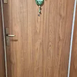 Szmaragdowe Apartment